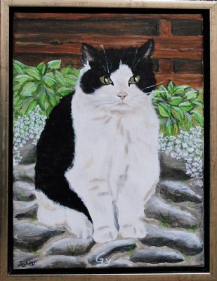 Katteportræt